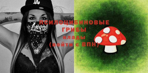 COCAINE Богородицк