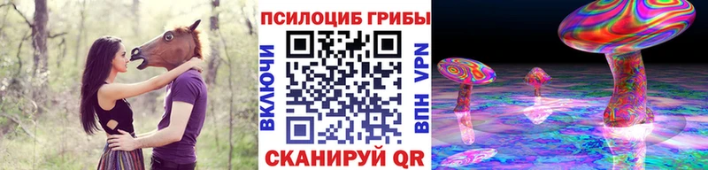 Псилоцибиновые грибы Psilocybe  нарко площадка Telegram  Окуловка 